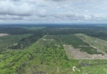 Intercâmbio reúne produtores e profissionais para troca deexperiências sobre produção leiteira em Candeias do Jamari