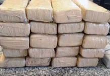 Polícia encontra duas toneladas de maconha em carga de repolho em SC