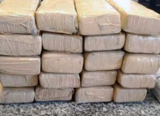 Polícia encontra duas toneladas de maconha em carga de repolho em SC