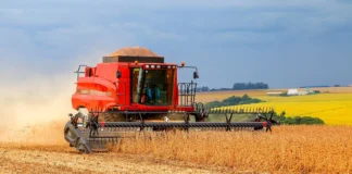 CAFÉ DE RONDÔNIA GANHA FORÇA — Safra chega a 2,88 milhões de sacas e crescimento coloca produção estadual em novo patamar