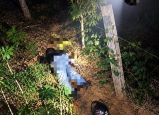 Homem é encontrado morto a tiros as margens de estrada rural