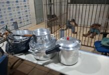 Dois homens são presos após objetos furtados serem recuperados em Porto Velho