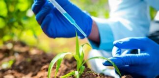 Mercado de bioinsumos deve crescer até 7% em valor de vendas em 2026