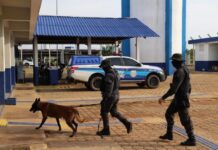 Polícia Penal intensifica revistas e reforça segurança nas unidades prisionais de Rondônia
