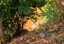 Corpo carbonizado e com mãos amarradas é encontrado em matagal na zona Leste de Porto Velho