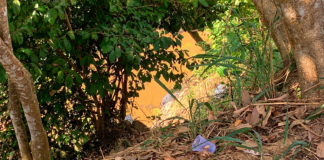 Corpo carbonizado e com mãos amarradas é encontrado em matagal na zona Leste de Porto Velho