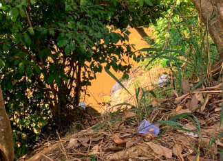 Corpo carbonizado e com mãos amarradas é encontrado em matagal na zona Leste de Porto Velho