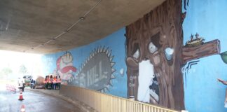 Prefeitura revitaliza viadutos de Porto Velho com cores, arte e paisagismo