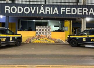 PRF apreende mais de 600 kg de drogas escondidos em caminhão na BR-364