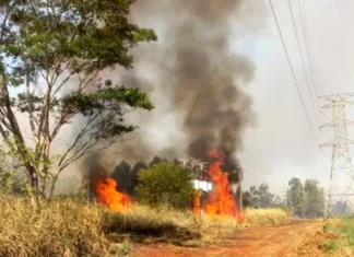 Energisa alerta para riscos das queimadas próximas à rede elétrica e reforça orientações de segurança em Rondônia